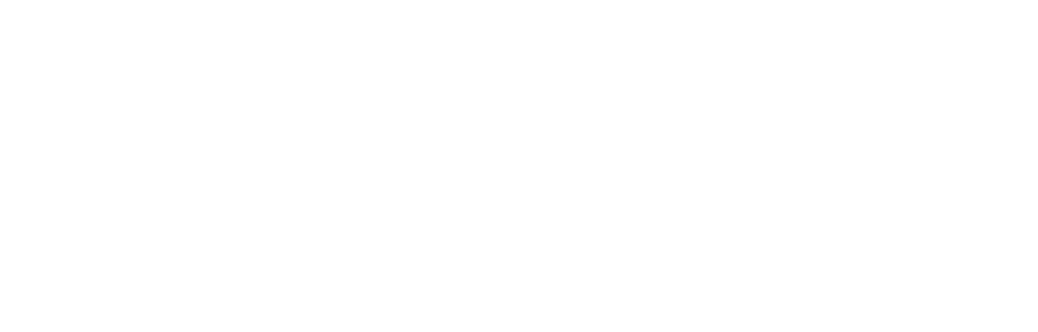 LocalSIG LOGO